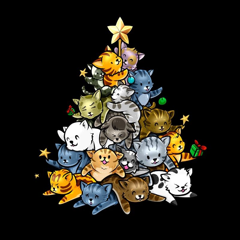 Chat chaton Maine Coon cadeau de Noël