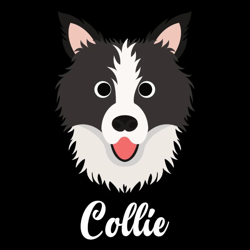 Collie - Border Collie