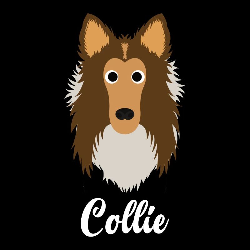 Collie - Rough Collie