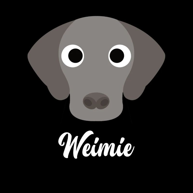 Weimie - Weimaraner