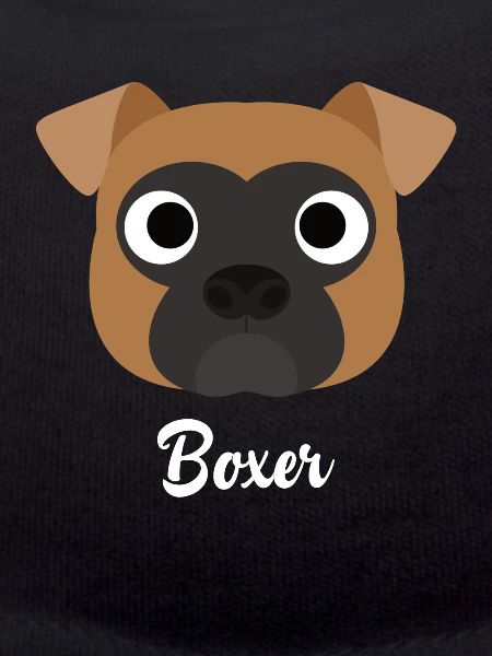 Boxer - Boxer Dog