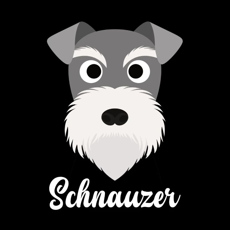 Schnauzer - Schnauzer miniature