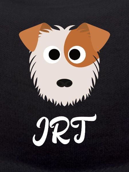 JRT - Jack Russel Terrier