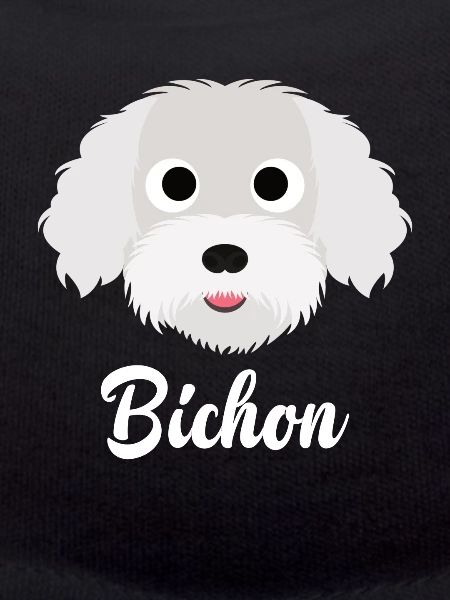 Bichon - Bichon Frise