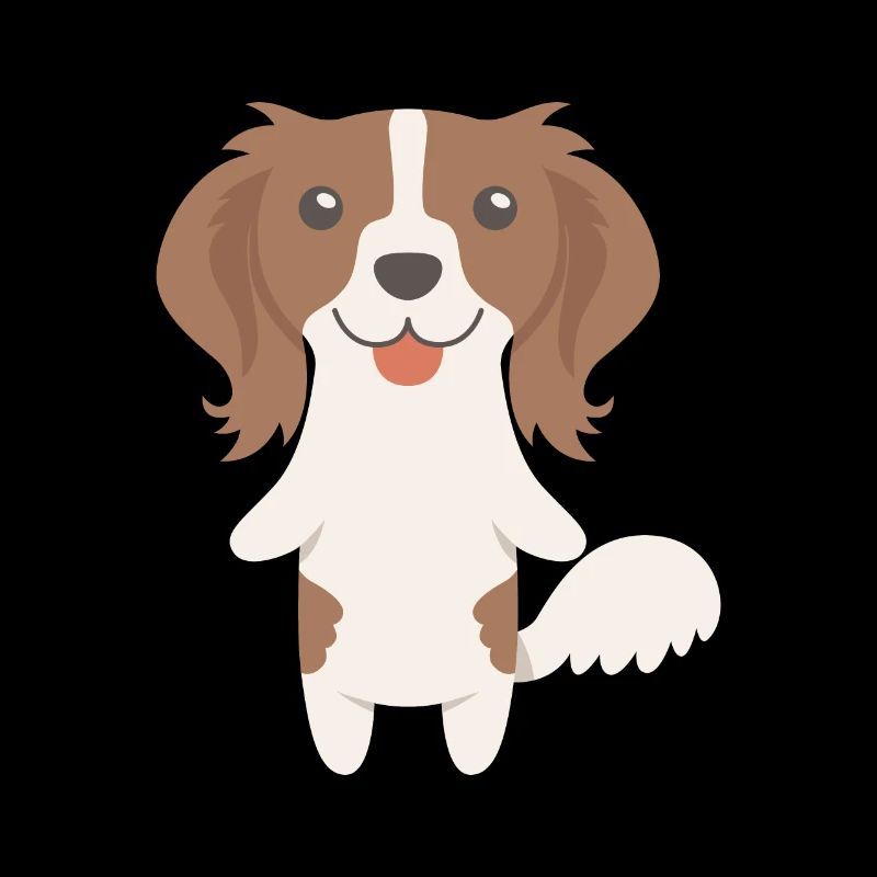 Kooikerhondje Geschenkidee