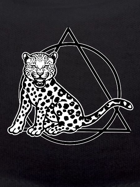 Gepard Wildtiere