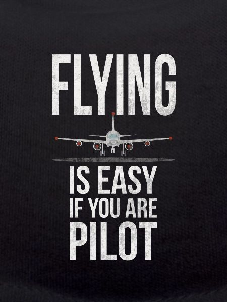 fly