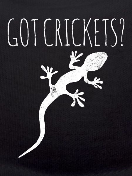 Lizard Gecko Owner