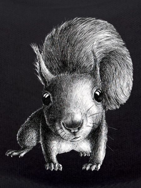 Squirrel