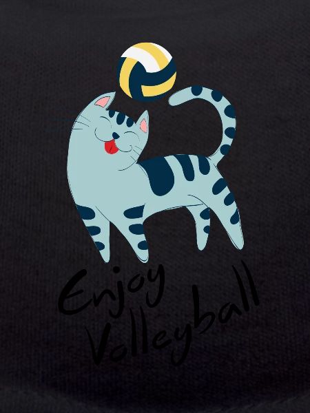 Chat de volleyball