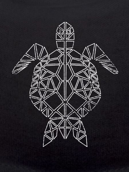 Turtle polygon geometric