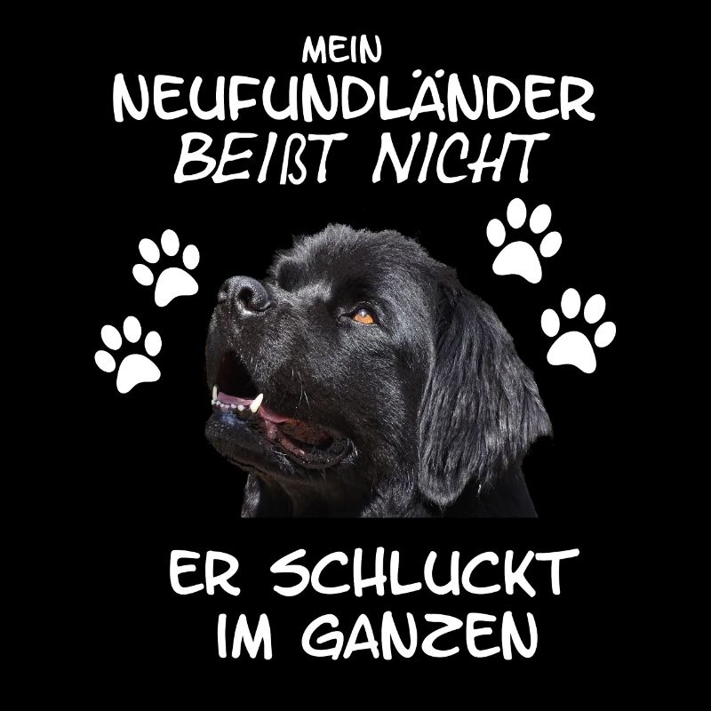 Chien de Terre-Neuve