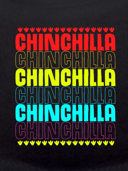 Chinchilla