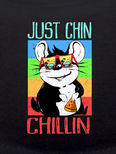 Chinchilla