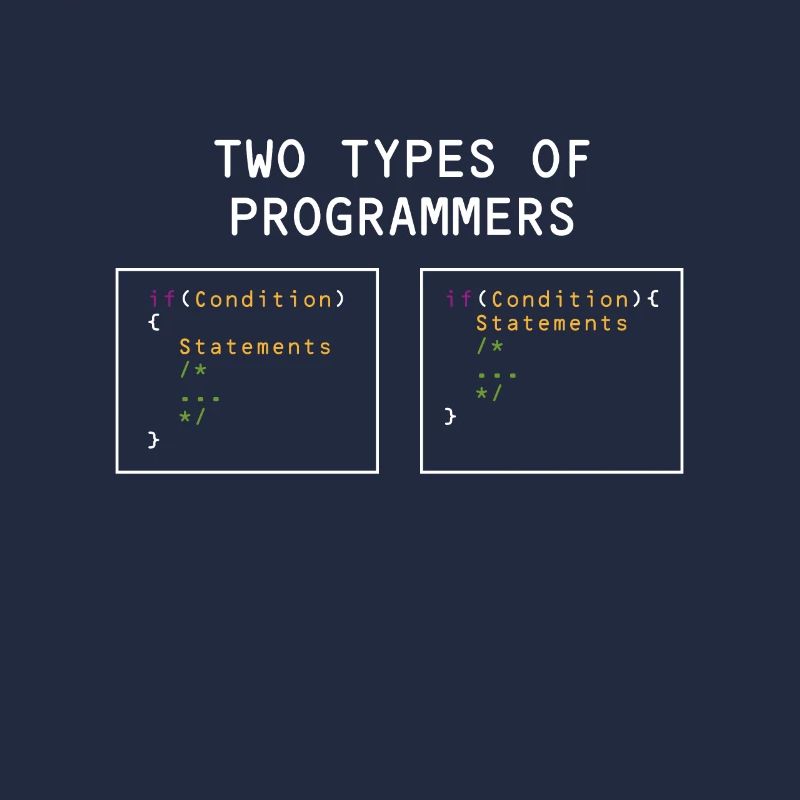 Deux types de programmeurs PHP HTML IT Developer