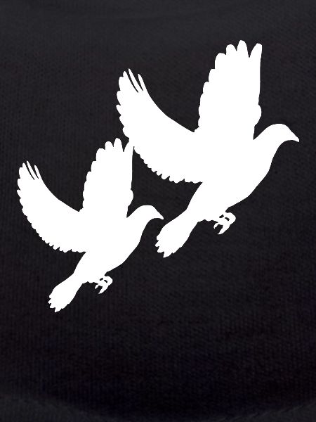 colombe