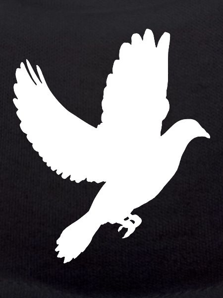 colombe