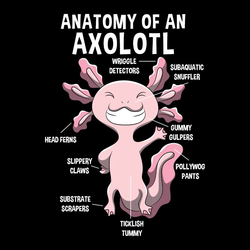 Anatomie eines Axolotls Lehrer Geschenk