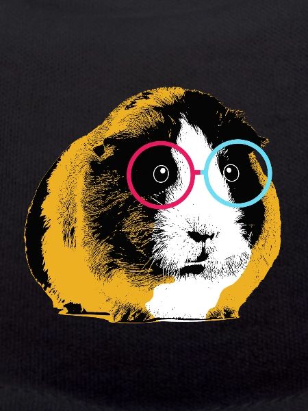 Guinea pig