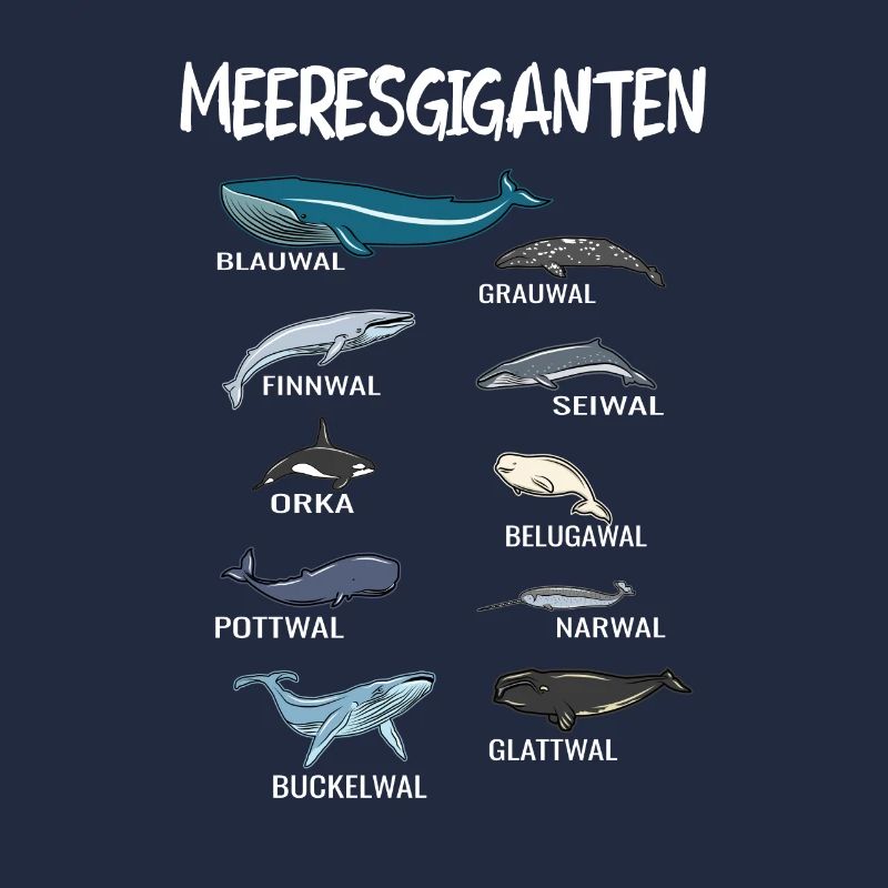 Baleines espèces de géants de la mer