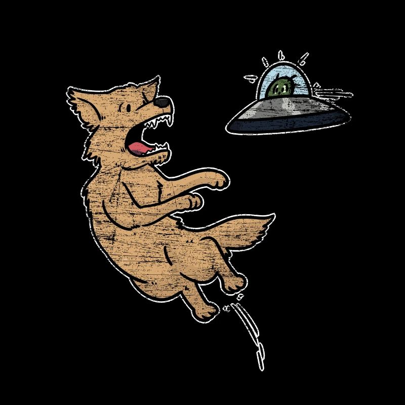 dog frisbee