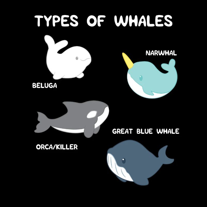Biologiste marin - Océanographe - Océanologue - Baleines