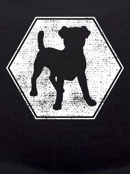 Jack Russell