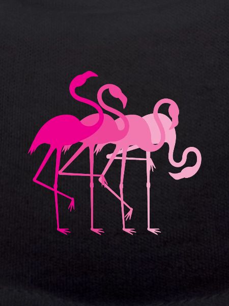 Flamingo Flamingos