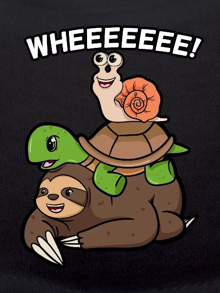 Turtle snail and sloth