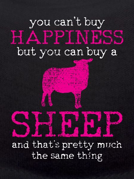 sheep