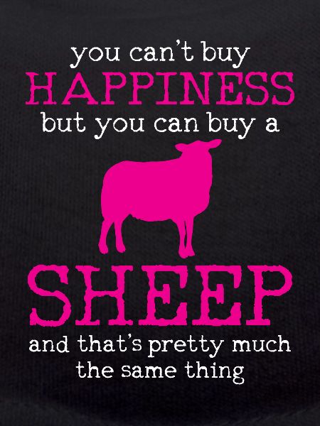 sheep