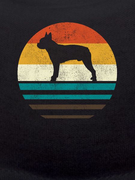 Boston Terrier