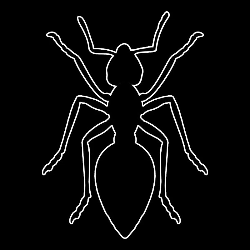 Fourmi - design avec des fourmis