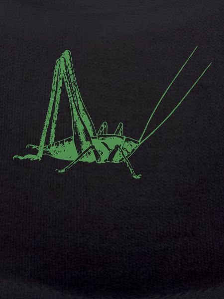 Grasshopper