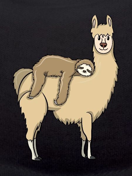 Sloth rides on llama