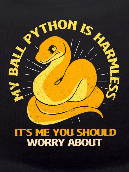 Python