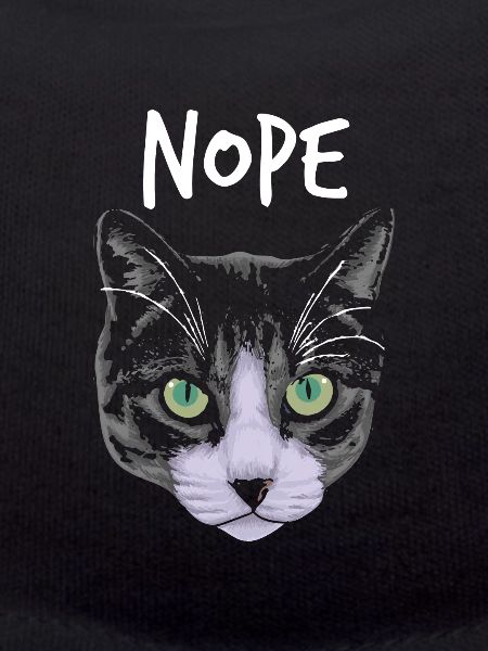Chat drôle