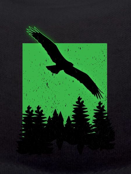 White-tailed Eagle