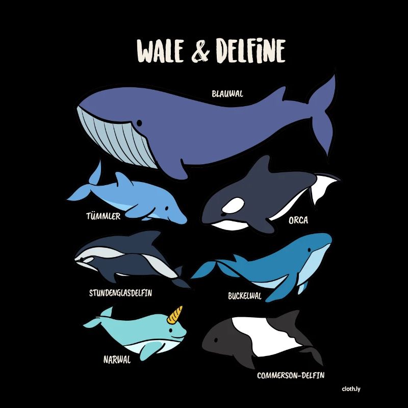 Wal Arten Delfine Orca Narwal