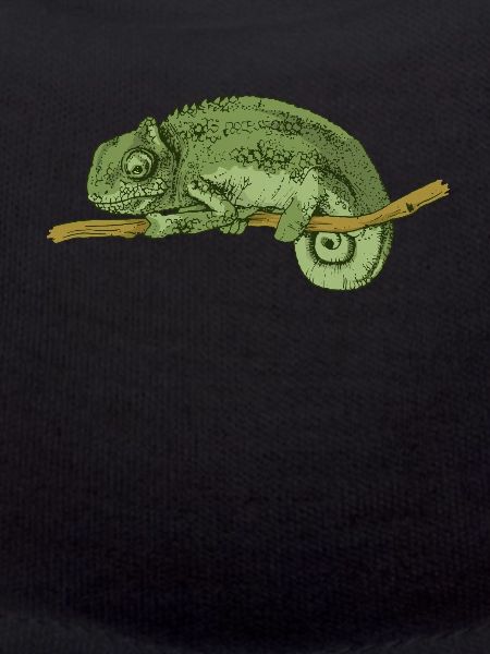 caméléon
