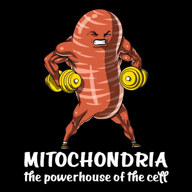 Biologie Science Drôle Drôle Mitochondrie École