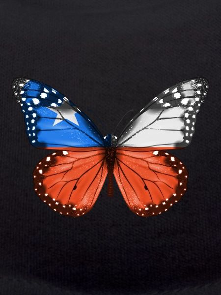 Butterfly Flag Of Chile