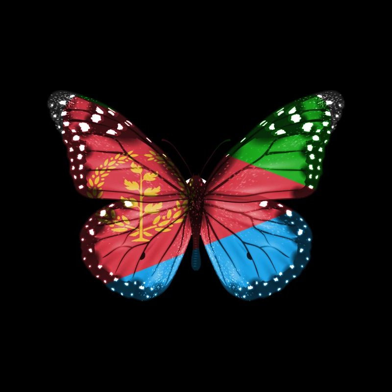 Papillon Drapeau De L'Erythrée