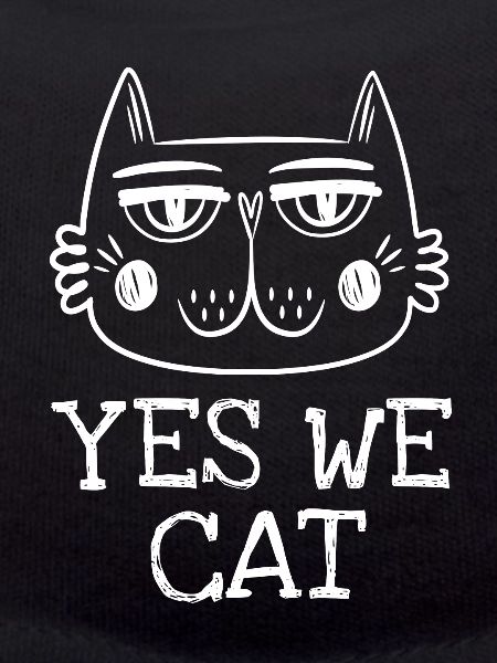 Chat chat - des phrases drôles