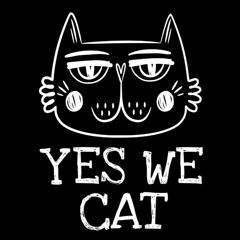 Chat chat - des phrases drôles