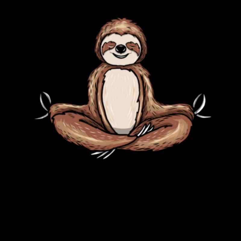 Sloth Meditation Meditating Slow Down Yoga