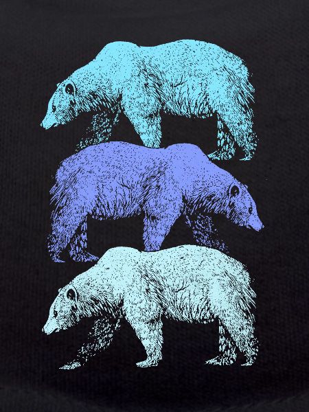 Polar bear