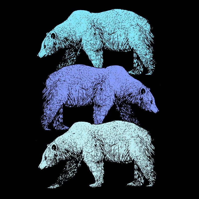 Eisbär