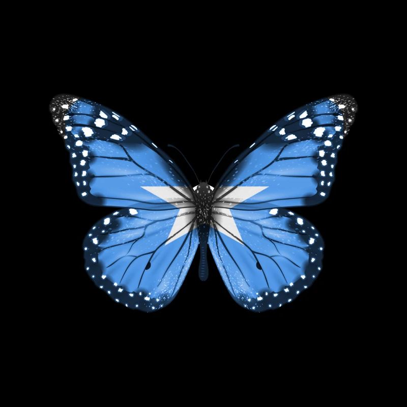 Papillon Drapeau De La Somalie