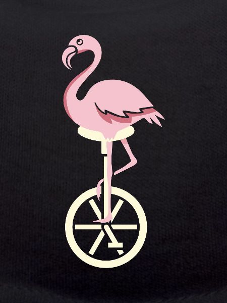 Unicycle flamingo summer gift